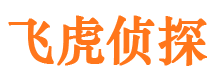 烟台外遇调查取证